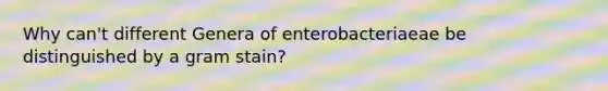 Why can't different Genera of enterobacteriaeae be distinguished by a gram stain?