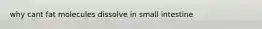 why cant fat molecules dissolve in small intestine