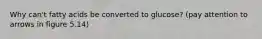 Why can't fatty acids be converted to glucose? (pay attention to arrows in figure 5.14)