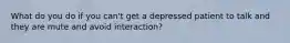 What do you do if you can't get a depressed patient to talk and they are mute and avoid interaction?