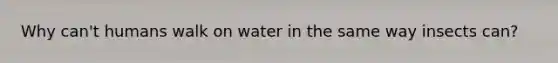 Why can't humans walk on water in the same way insects can?