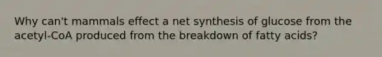 Why can't mammals effect a net synthesis of glucose from the acetyl-CoA produced from the breakdown of fatty acids?