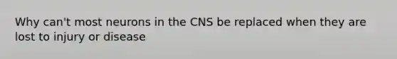 Why can't most neurons in the CNS be replaced when they are lost to injury or disease