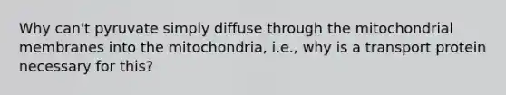 Why can't pyruvate simply diffuse through the mitochondrial membranes into the mitochondria, i.e., why is a transport protein necessary for this?