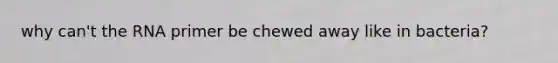 why can't the RNA primer be chewed away like in bacteria?