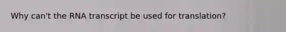 Why can't the RNA transcript be used for translation?