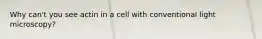 Why can't you see actin in a cell with conventional light microscopy?