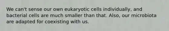 We can't sense our own eukaryotic cells individually, and bacterial cells are much smaller than that. Also, our microbiota are adapted for coexisting with us.