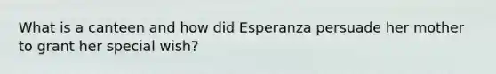 What is a canteen and how did Esperanza persuade her mother to grant her special wish?