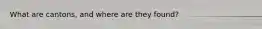 What are cantons, and where are they found?