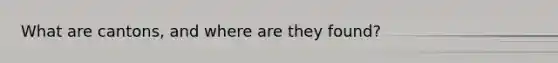 What are cantons, and where are they found?