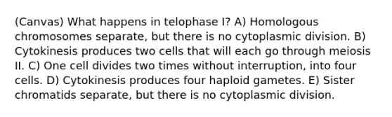 (Canvas) What happens in telophase I? A) Homologous chromosomes separate, but there is no cytoplasmic division. B) Cytokinesis produces two cells that will each go through meiosis II. C) One cell divides two times without interruption, into four cells. D) Cytokinesis produces four haploid gametes. E) Sister chromatids separate, but there is no cytoplasmic division.