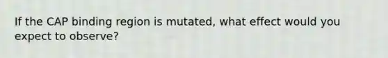 If the CAP binding region is mutated, what effect would you expect to observe?