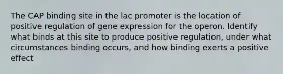 The CAP binding site in the lac promoter is the location of positive regulation of gene expression for the operon. Identify what binds at this site to produce positive regulation, under what circumstances binding occurs, and how binding exerts a positive effect