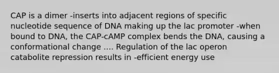 CAP is a dimer -inserts into adjacent regions of specific nucleotide sequence of DNA making up the lac promoter -when bound to DNA, the CAP-cAMP complex bends the DNA, causing a conformational change .... Regulation of the lac operon catabolite repression results in -efficient energy use