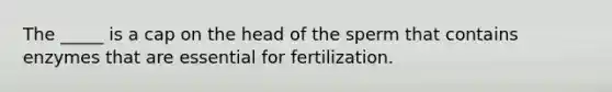 The _____ is a cap on the head of the sperm that contains enzymes that are essential for fertilization.