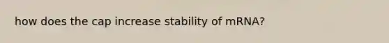 how does the cap increase stability of mRNA?