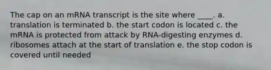 The cap on an mRNA transcript is the site where ____. a. translation is terminated b. the start codon is located c. the mRNA is protected from attack by RNA-digesting enzymes d. ribosomes attach at the start of translation e. the stop codon is covered until needed