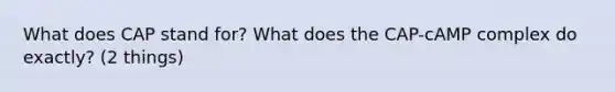 What does CAP stand for? What does the CAP-cAMP complex do exactly? (2 things)