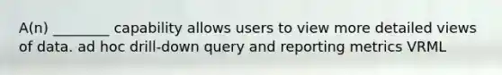 A(n) ________ capability allows users to view more detailed views of data. ad hoc drill-down query and reporting metrics VRML