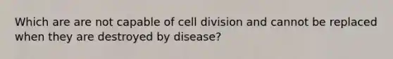 Which are are not capable of <a href='https://www.questionai.com/knowledge/kjHVAH8Me4-cell-division' class='anchor-knowledge'>cell division</a> and cannot be replaced when they are destroyed by disease?