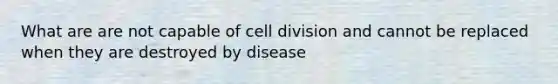 What are are not capable of cell division and cannot be replaced when they are destroyed by disease