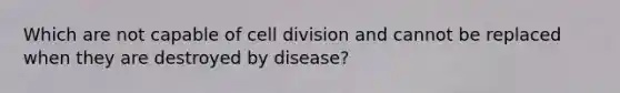 Which are not capable of cell division and cannot be replaced when they are destroyed by disease?