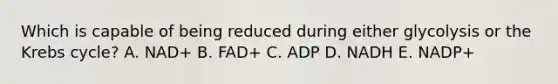 Which is capable of being reduced during either glycolysis or the <a href='https://www.questionai.com/knowledge/kqfW58SNl2-krebs-cycle' class='anchor-knowledge'>krebs cycle</a>? A. NAD+ B. FAD+ C. ADP D. NADH E. NADP+