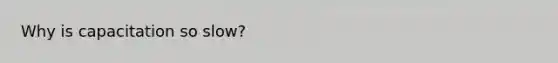 Why is capacitation so slow?