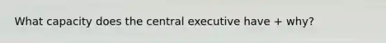 What capacity does the central executive have + why?