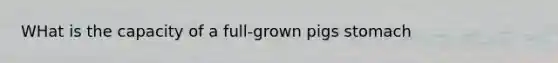 WHat is the capacity of a full-grown pigs stomach