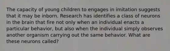 The capacity of young children to engages in imitation suggests that it may be inborn. Research has identifies a class of neurons in the brain that fire not only when an individual enacts a particular behavior, but also when the individual simply observes another organism carrying out the same behavior. What are these neurons called?