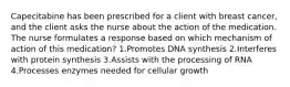 Capecitabine has been prescribed for a client with breast cancer, and the client asks the nurse about the action of the medication. The nurse formulates a response based on which mechanism of action of this medication? 1.Promotes DNA synthesis 2.Interferes with protein synthesis 3.Assists with the processing of RNA 4.Processes enzymes needed for cellular growth