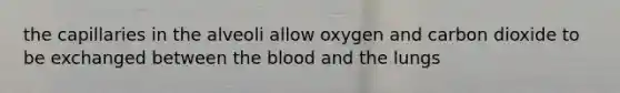 the capillaries in the alveoli allow oxygen and carbon dioxide to be exchanged between the blood and the lungs