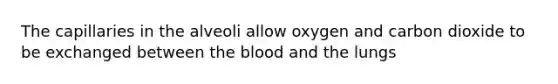 The capillaries in the alveoli allow oxygen and carbon dioxide to be exchanged between the blood and the lungs