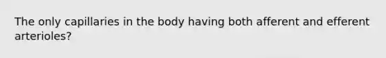 The only capillaries in the body having both afferent and efferent arterioles?