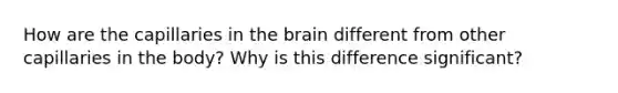 How are the capillaries in the brain different from other capillaries in the body? Why is this difference significant?