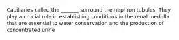 Capillaries called the _______ surround the nephron tubules. They play a crucial role in establishing conditions in the renal medulla that are essential to water conservation and the production of concentrated urine