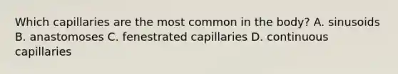 Which capillaries are the most common in the body? A. sinusoids B. anastomoses C. fenestrated capillaries D. continuous capillaries