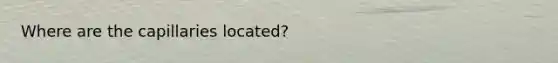 Where are the capillaries located?