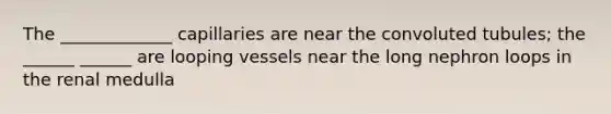 The _____________ capillaries are near the convoluted tubules; the ______ ______ are looping vessels near the long nephron loops in the renal medulla