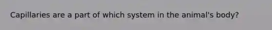 Capillaries are a part of which system in the animal's body?