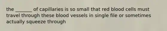 the _______ of capillaries is so small that red blood cells must travel through these blood vessels in single file or sometimes actually squeeze through