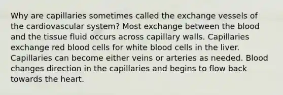 Why are capillaries sometimes called the exchange vessels of the cardiovascular system? Most exchange between the blood and the tissue fluid occurs across capillary walls. Capillaries exchange red blood cells for white blood cells in the liver. Capillaries can become either veins or arteries as needed. Blood changes direction in the capillaries and begins to flow back towards the heart.