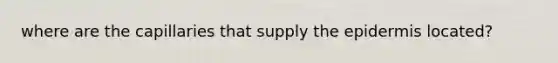 where are the capillaries that supply the epidermis located?