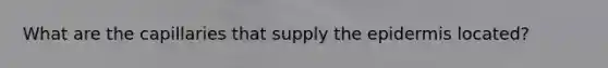 What are the capillaries that supply the epidermis located?