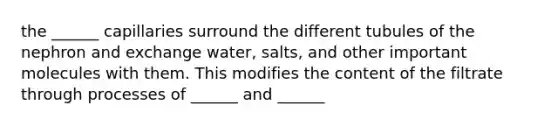 the ______ capillaries surround the different tubules of the nephron and exchange water, salts, and other important molecules with them. This modifies the content of the filtrate through processes of ______ and ______