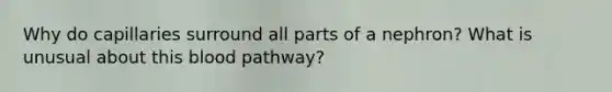 Why do capillaries surround all parts of a nephron? What is unusual about this blood pathway?