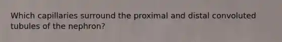Which capillaries surround the proximal and distal convoluted tubules of the nephron?