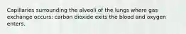 Capillaries surrounding the alveoli of the lungs where gas exchange occurs: carbon dioxide exits the blood and oxygen enters.